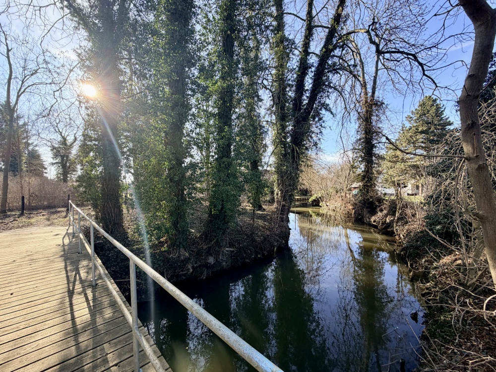 Mit dem Kahn durch den Garten