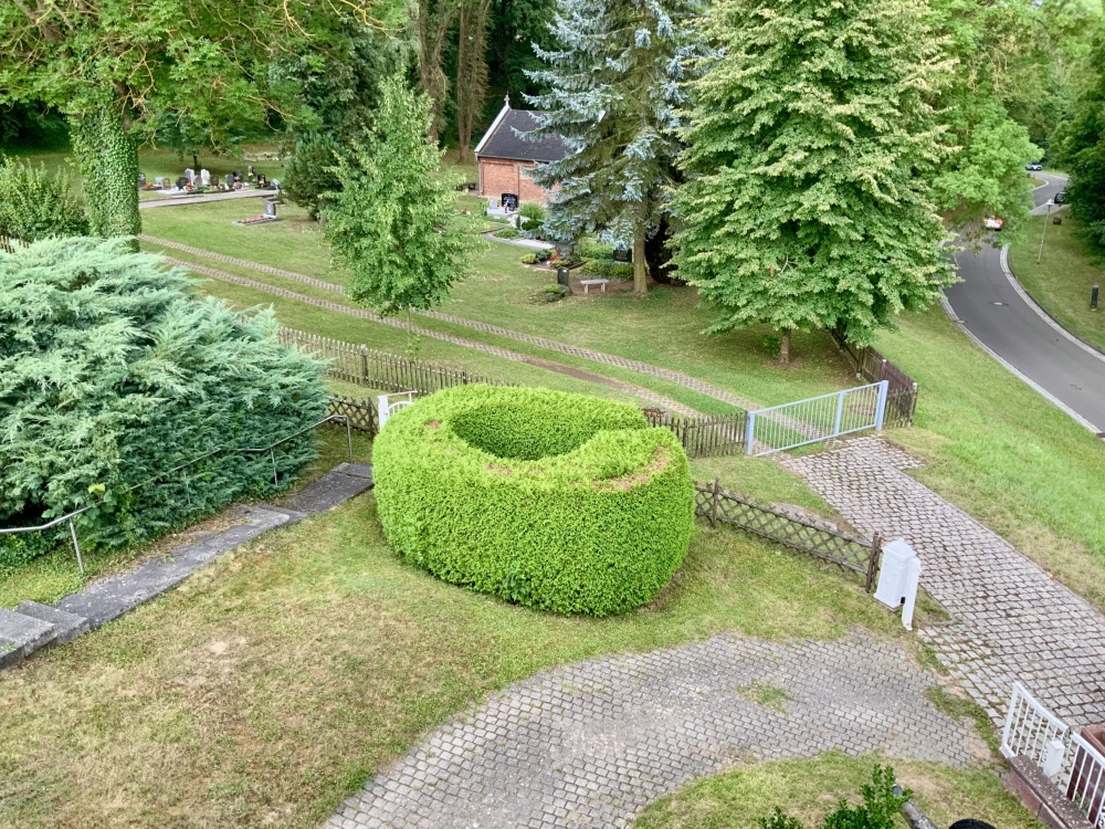 Blick in den Garten