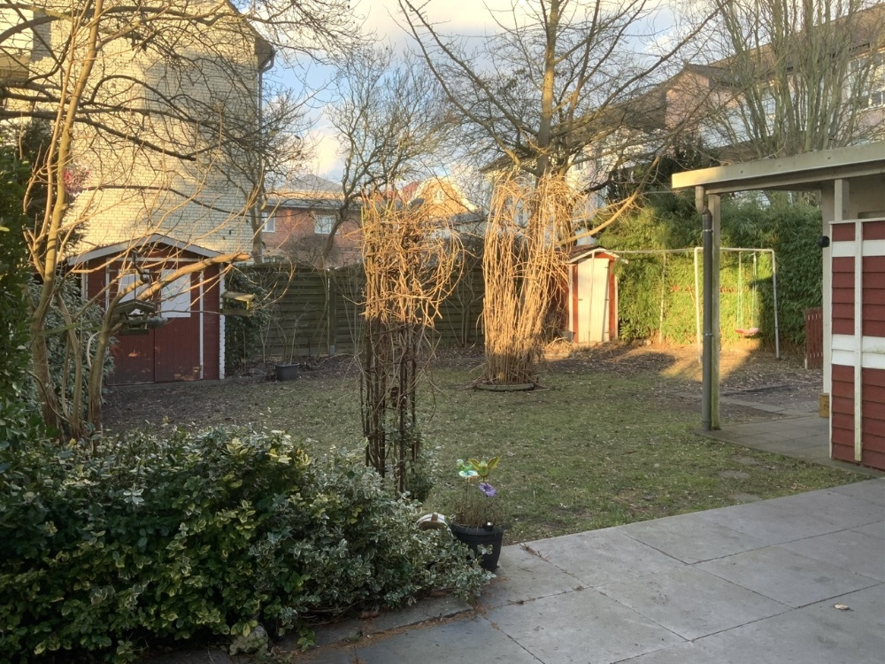 Blick übers Grundstück