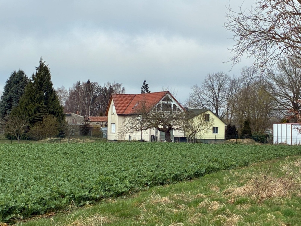 Blick übers Feld