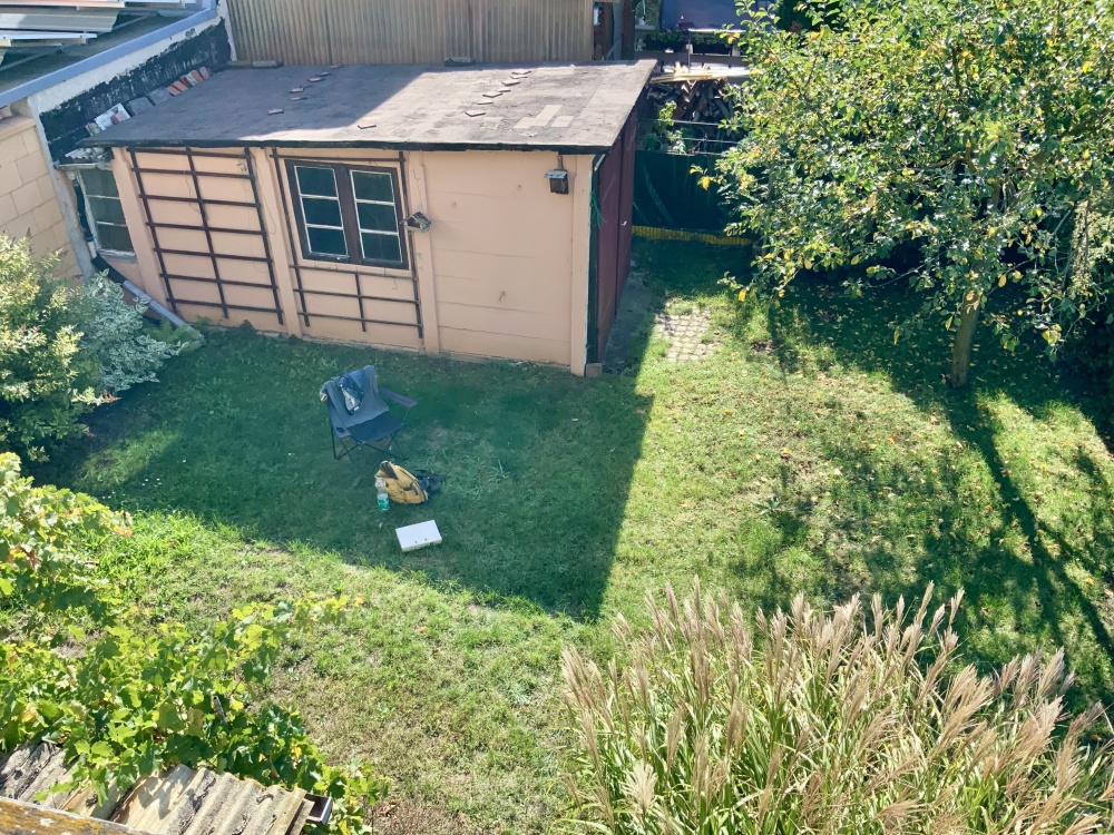Blick in den Garten