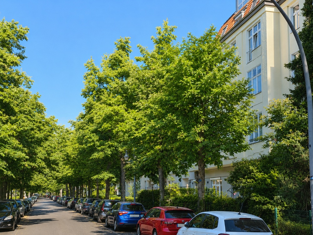 Blick in die Straße