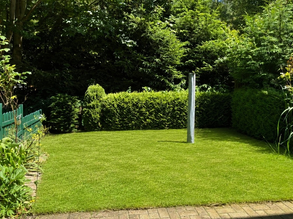 Blick aufs Grundstück