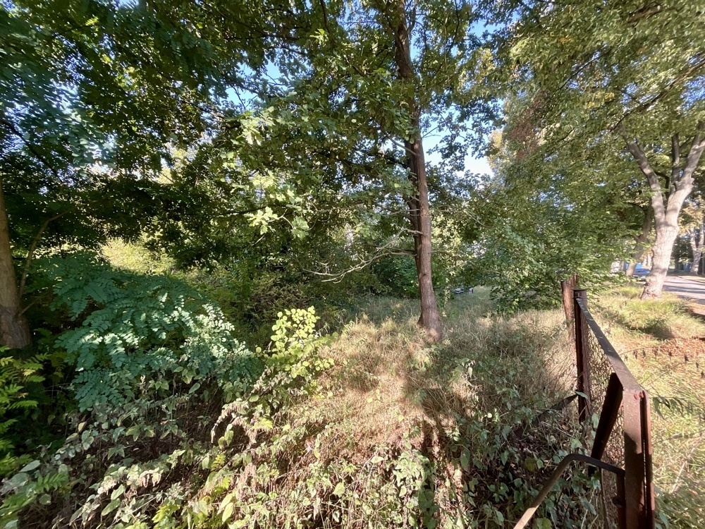 Blick auf das Grundstück