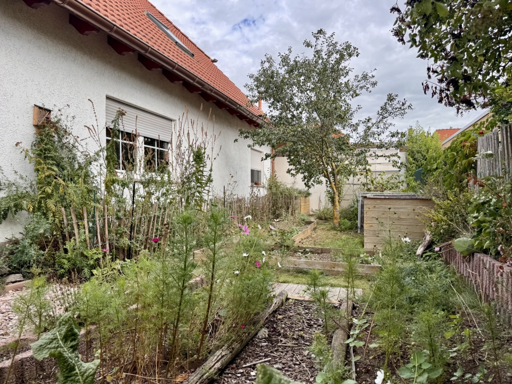 Gemüsegarten