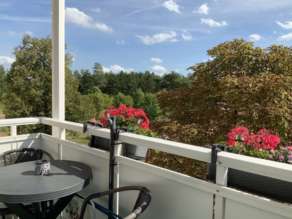 Ausblick Balkon