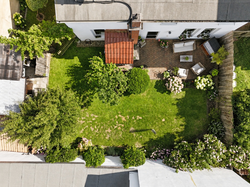 Rückseitiger Garten