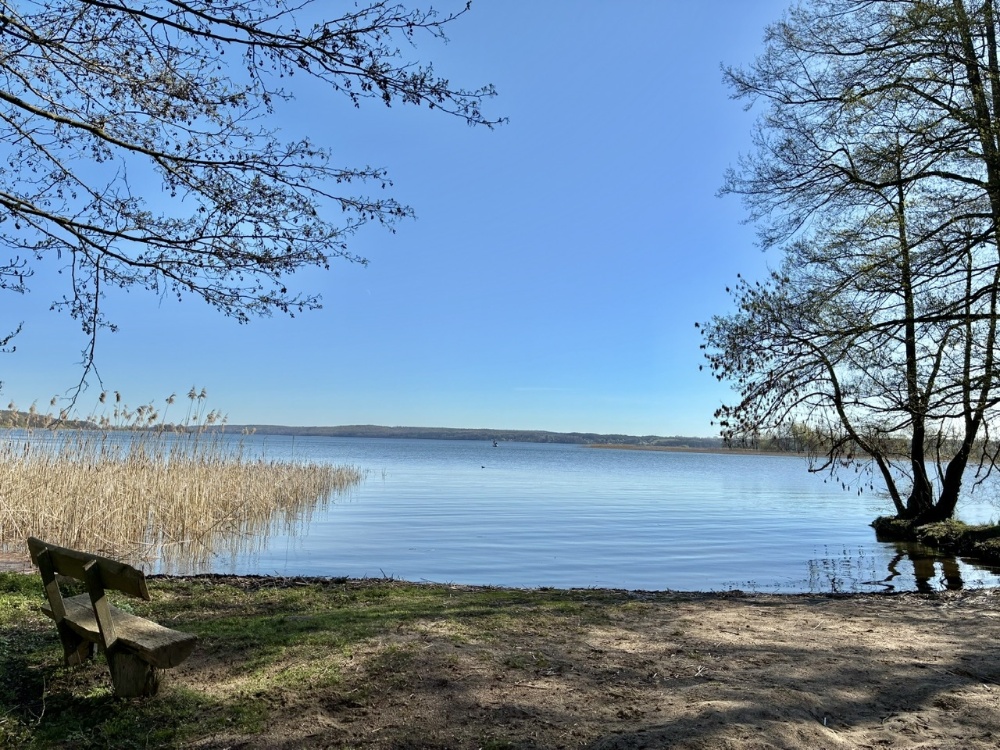 Badestelle am Tollensesee