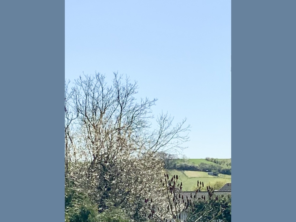 Ausblick