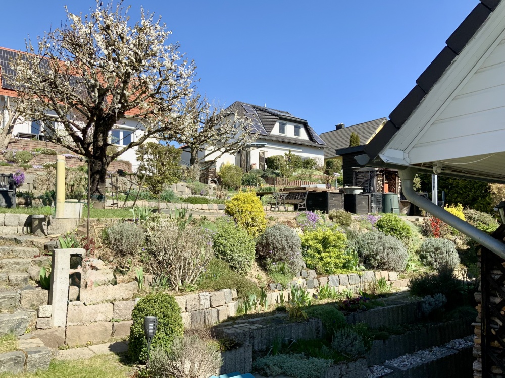 Gartenblick