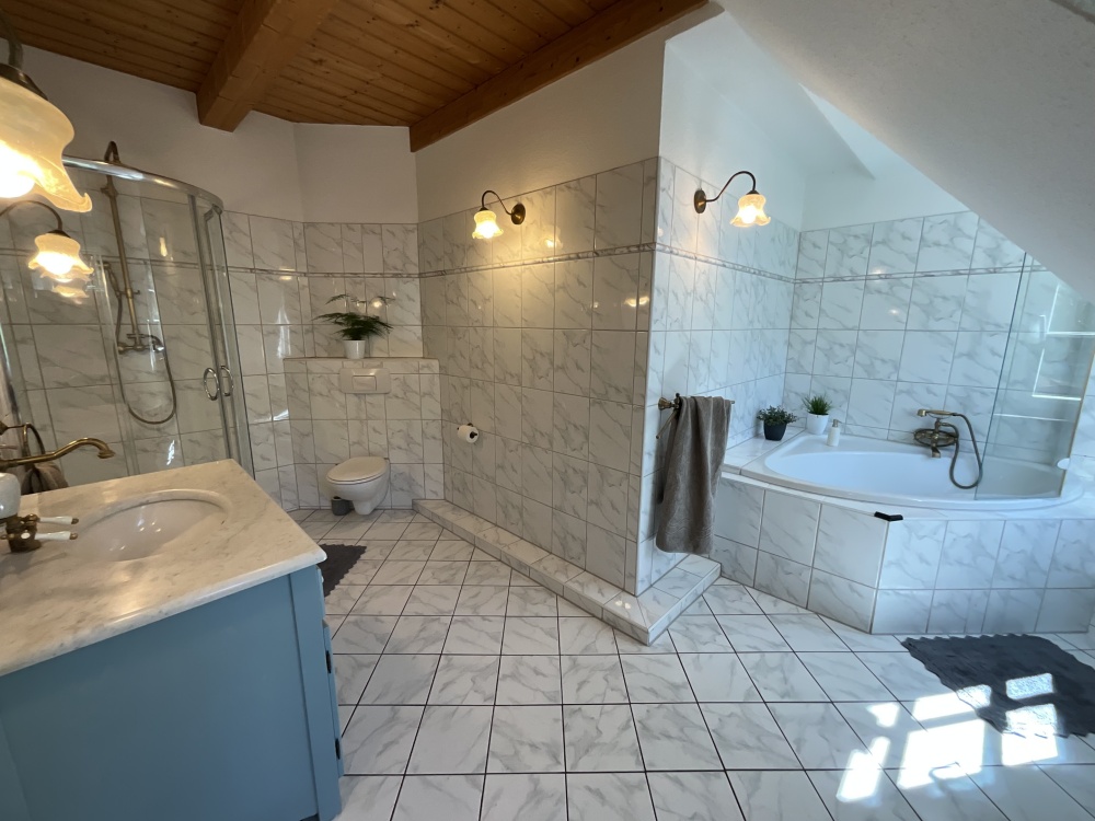 Badezimmer mit Duschbereich