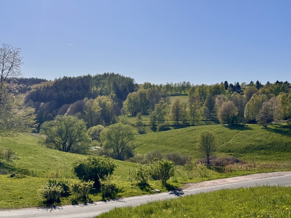 Aussicht vom Balkon