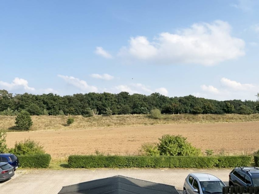 Blick auf das freie Feld