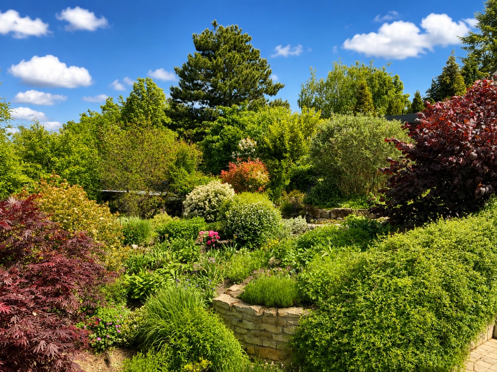 Farbenfrohes Gartenparadies