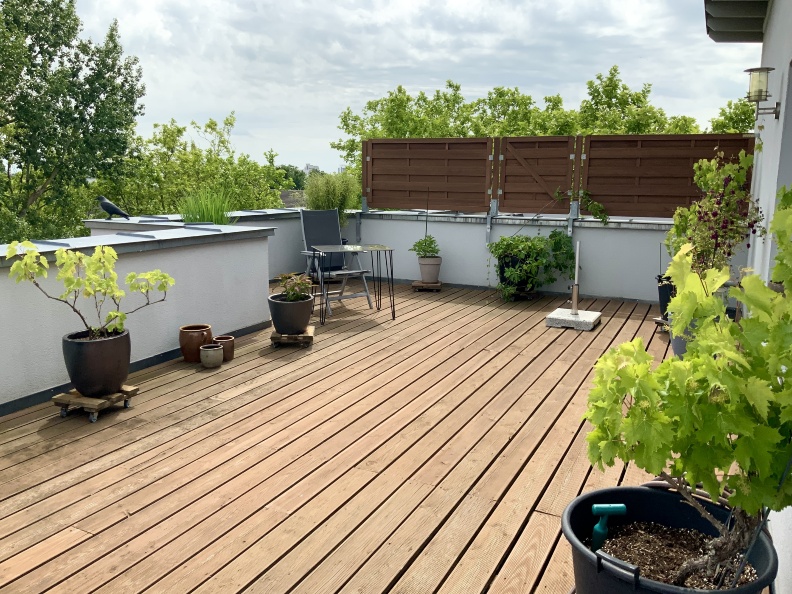Dachterrasse