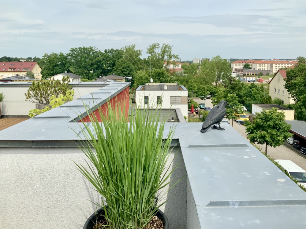 Ausblick