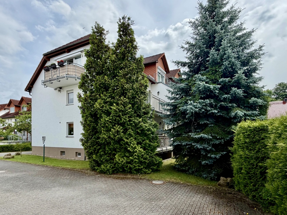 Rückseite