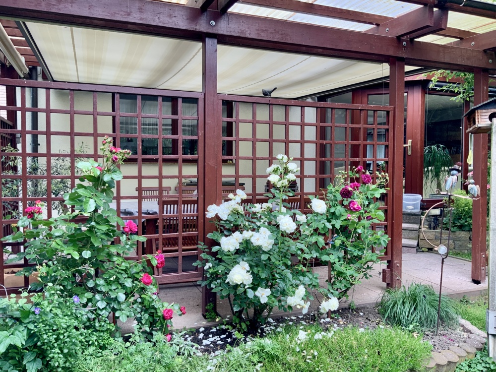 Pergola