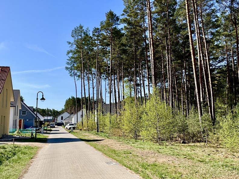 Baugrundstück 1