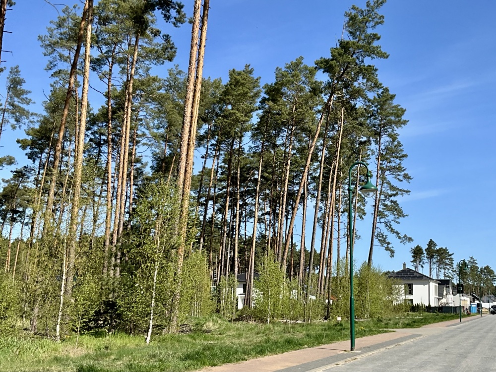 Ansicht Baugrundstück