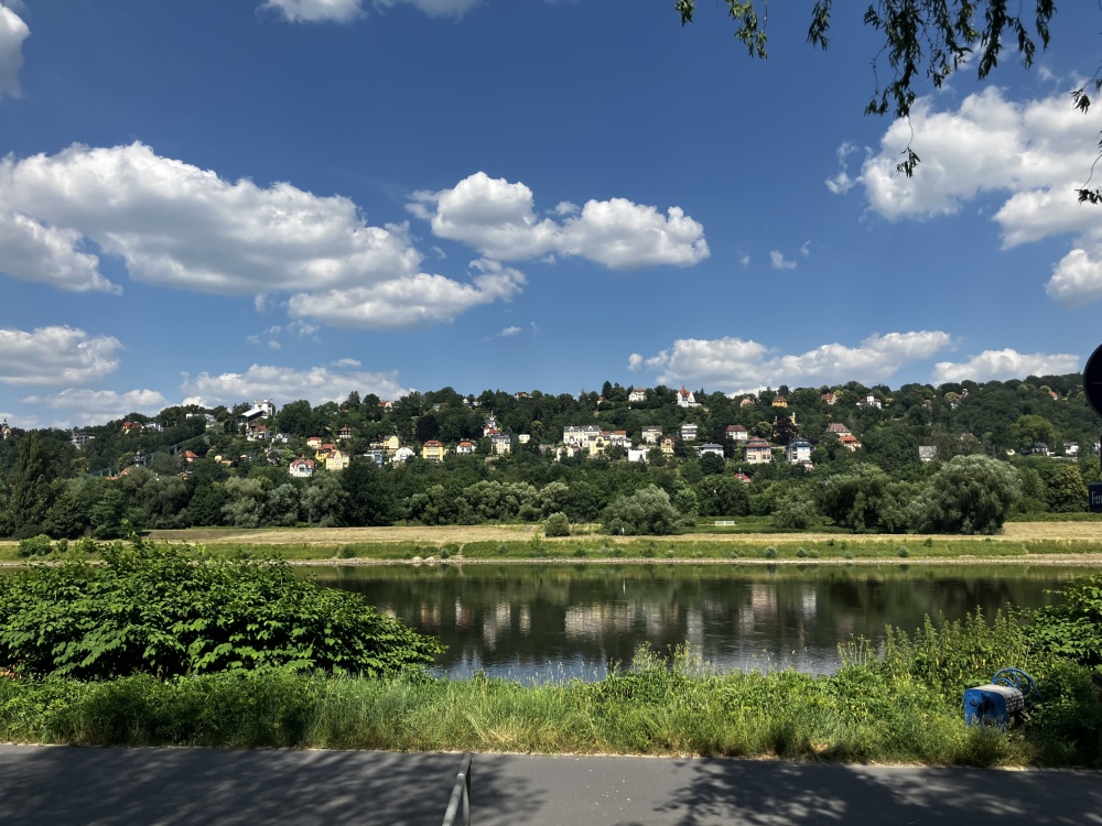 Elbblick