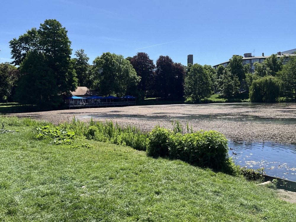 Cafe am Lietzensee