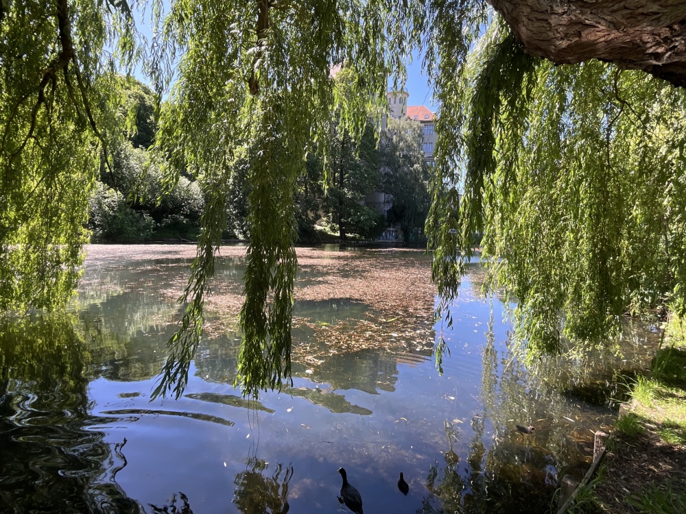Idylle