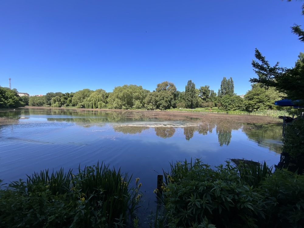Blick auf den Lietzensee
