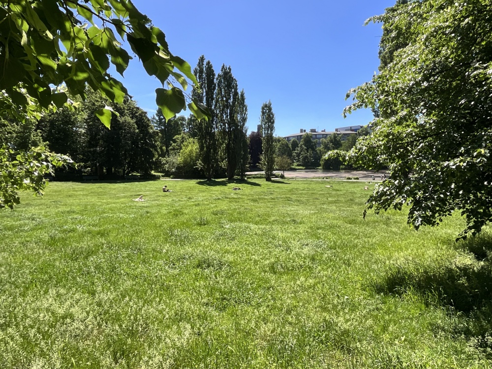 Erholungsflächen