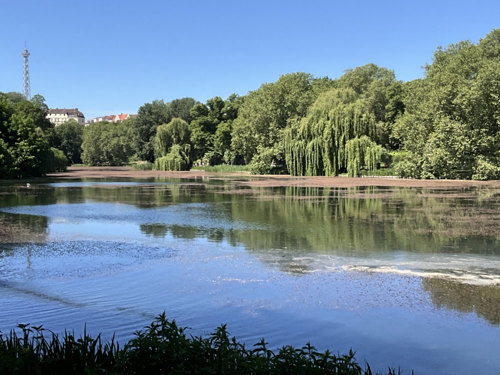 Seeblick