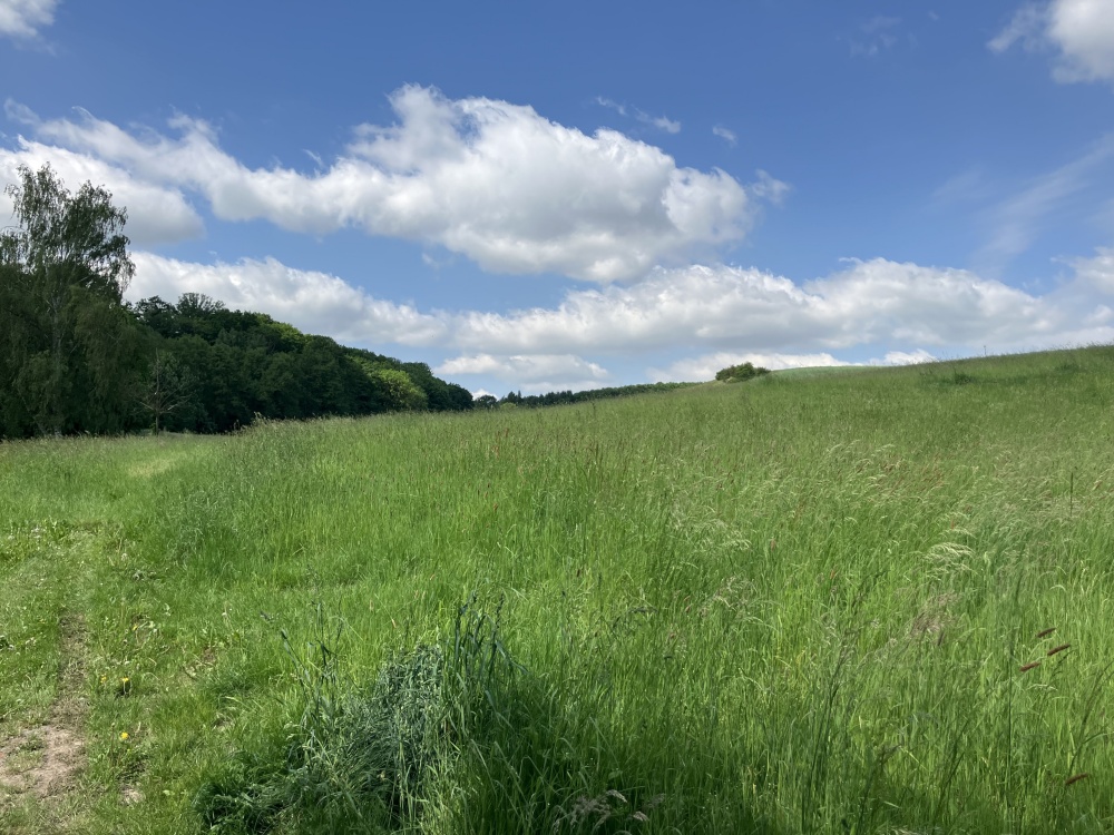 Ansicht von Osten