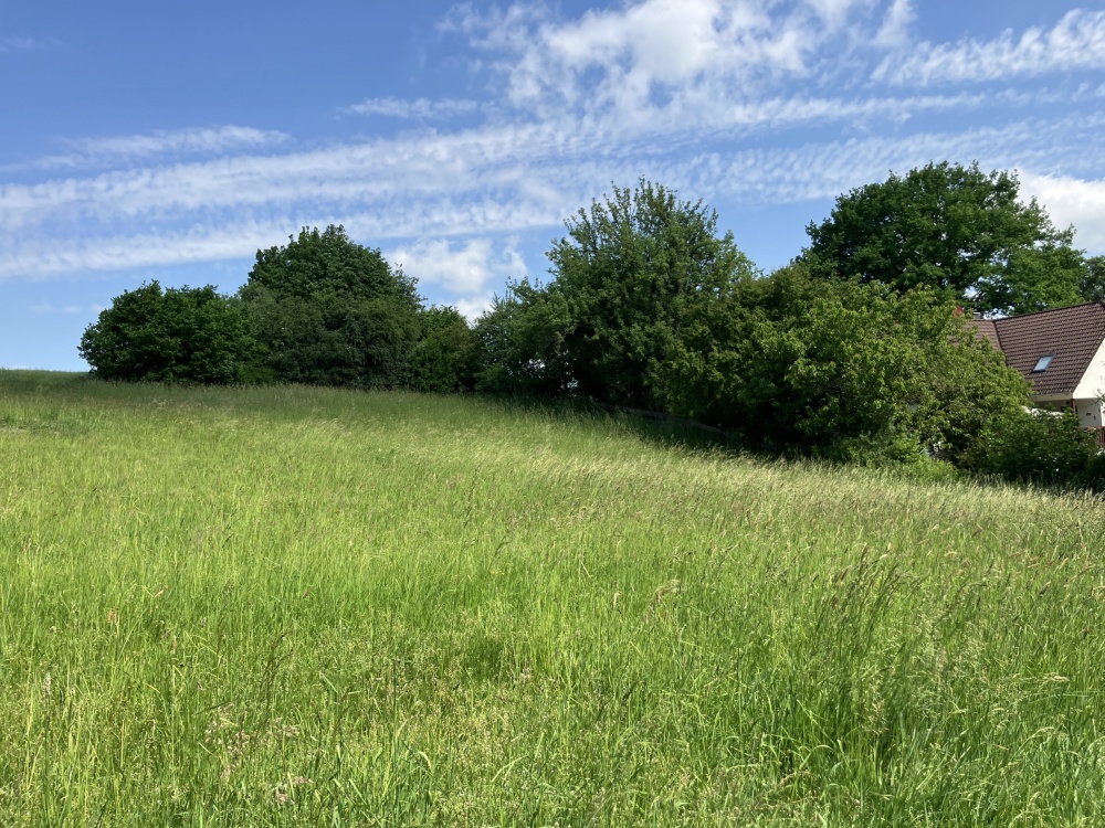 Westansicht