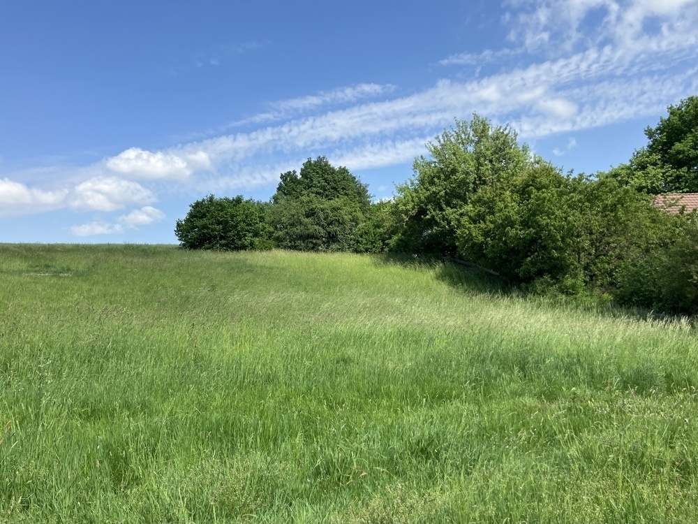 Westansicht