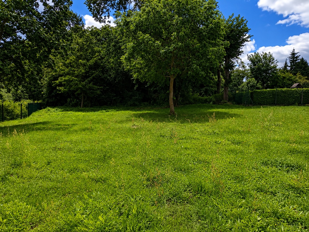 Blick auf s Grundstück