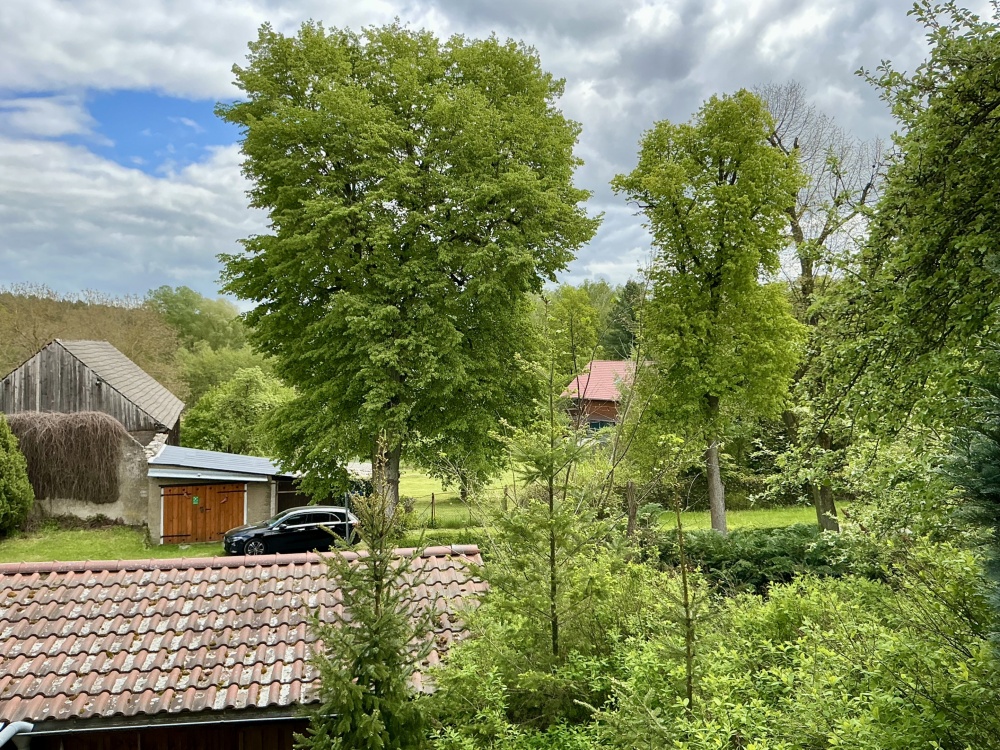 Blick von der Terasse