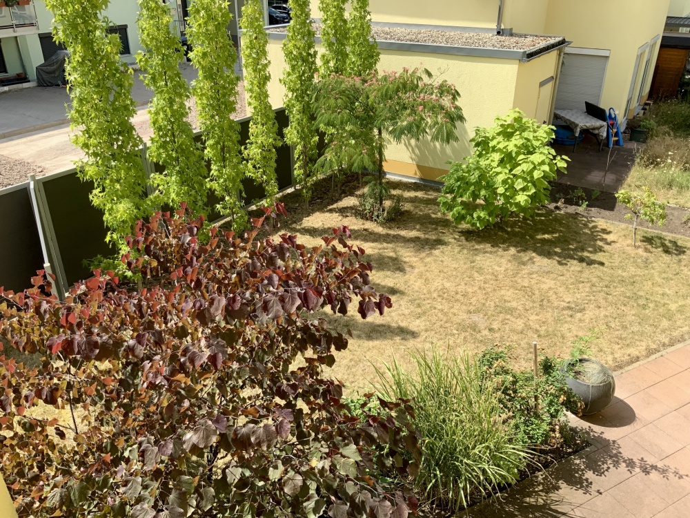 Blick in Garten