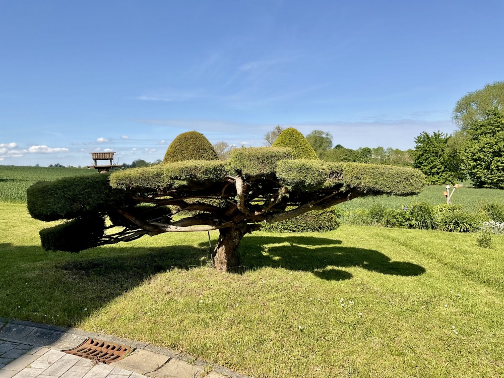 Gemeinschaftsgarten
