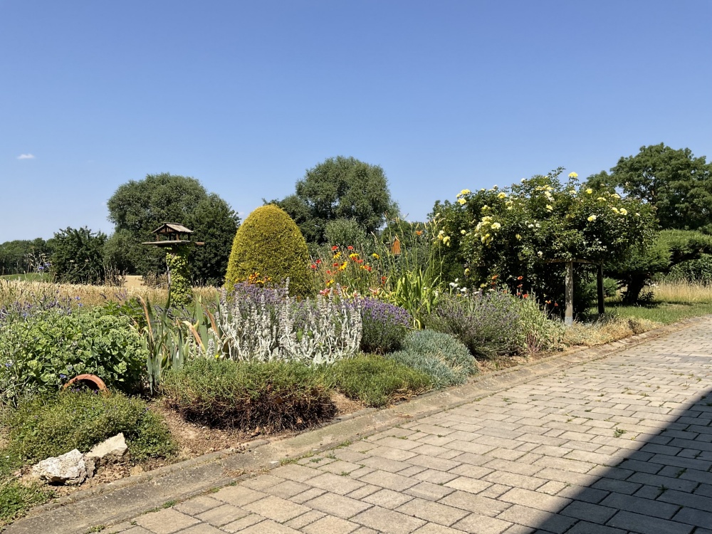 Gemeinschaftsgarten