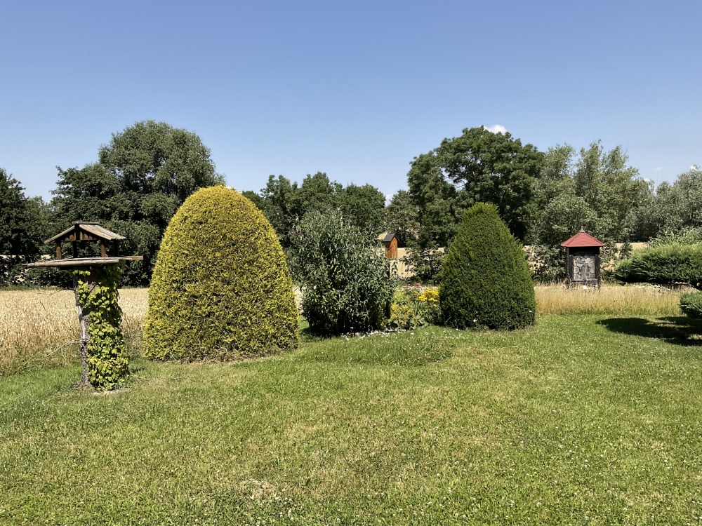 Gemeinschaftsgarten