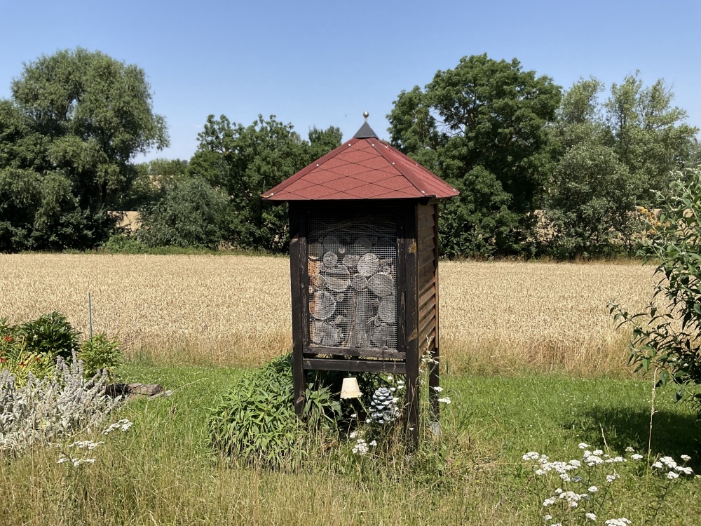 Gemeinschaftsgarten