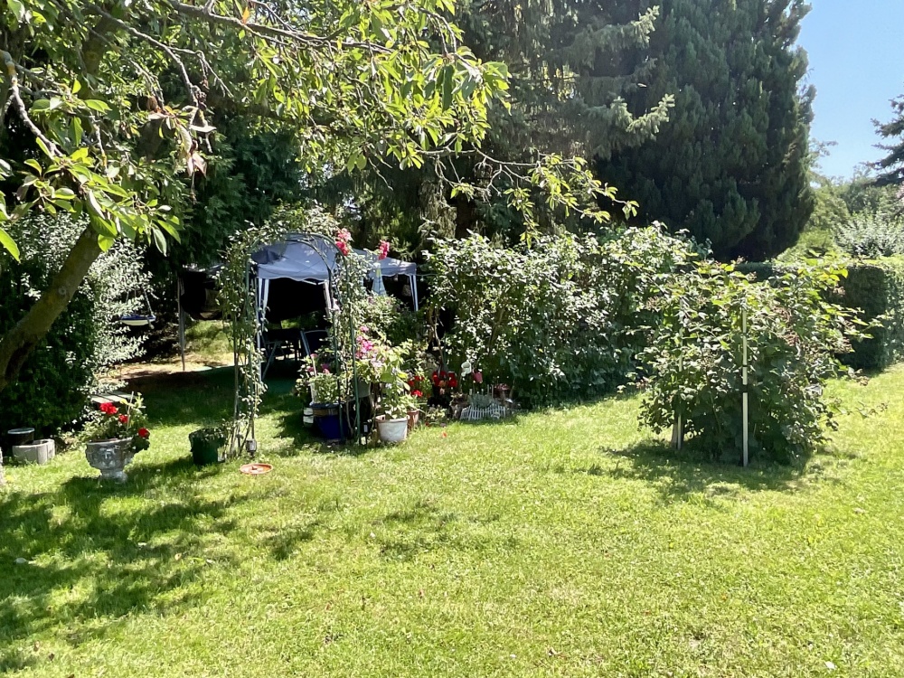 Gemeinschaftsgarten