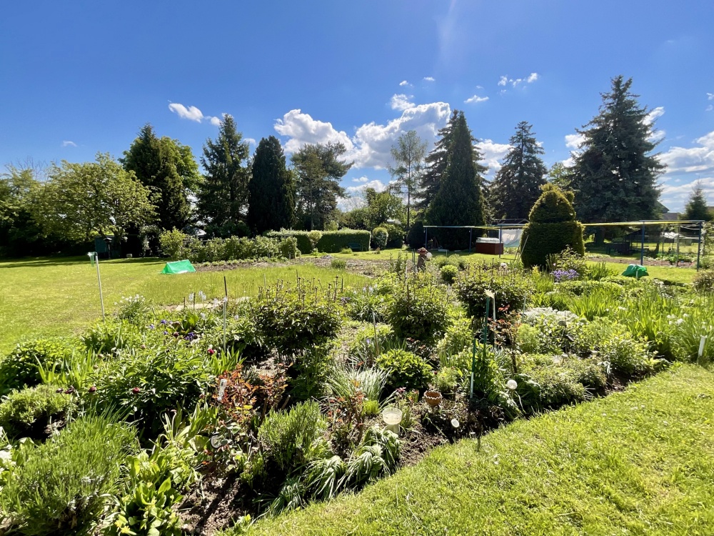 Gemeinschaftsgarten