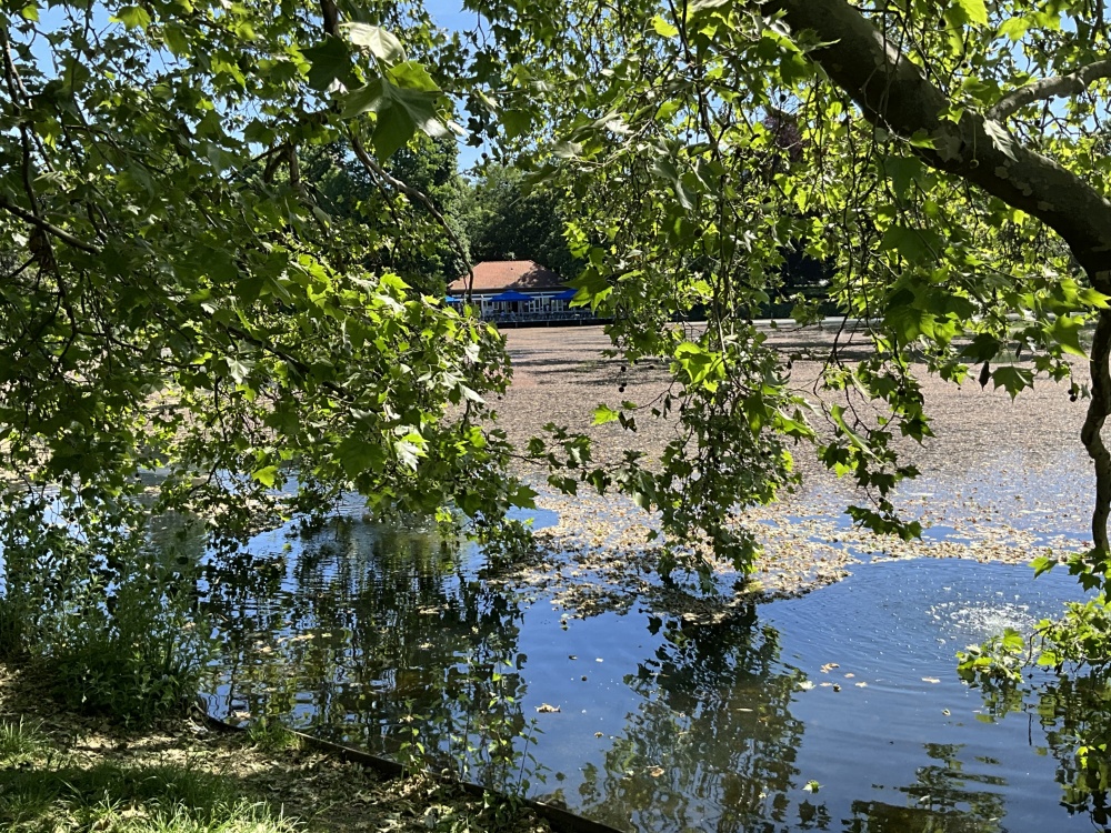 Idylle am Lietzensee