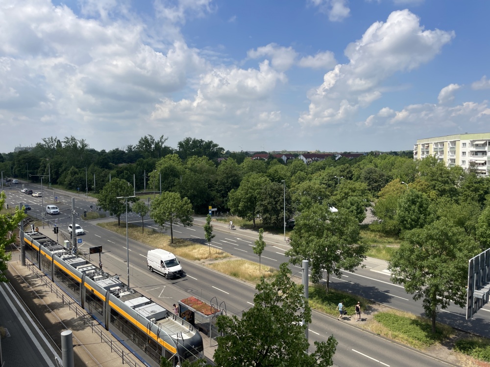 Blick aus dem Wintergarten