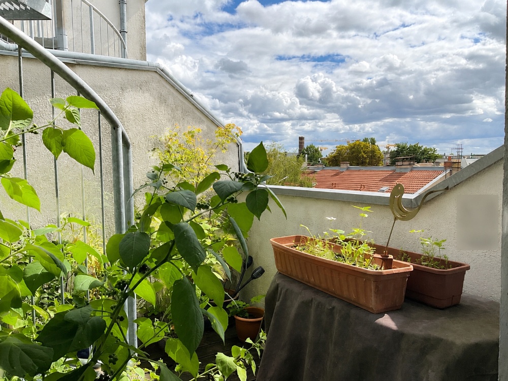 Balkon