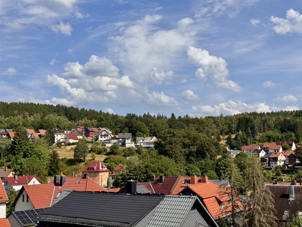 Ausblick 