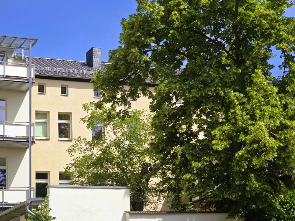 Ansicht von Süden