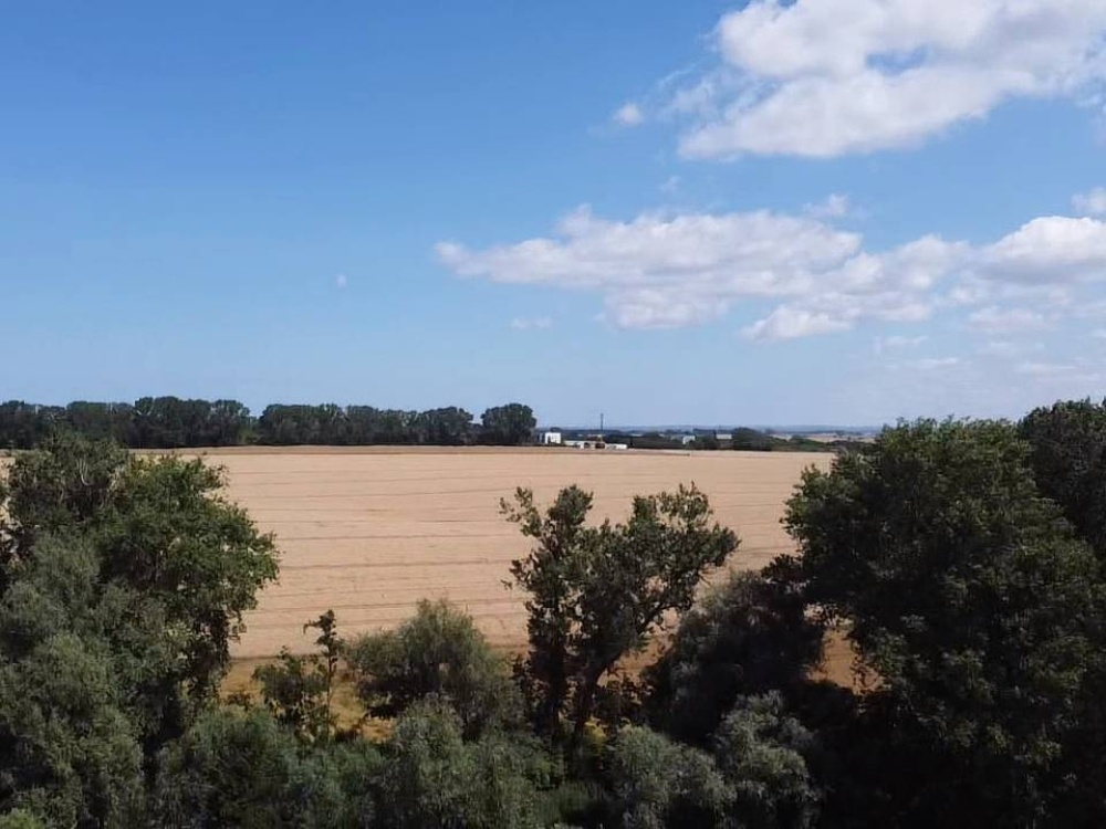 Blick auf das freie Feld