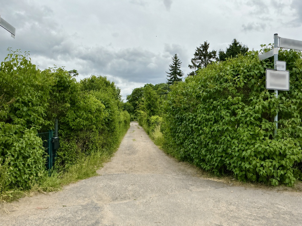 kleiner Weg