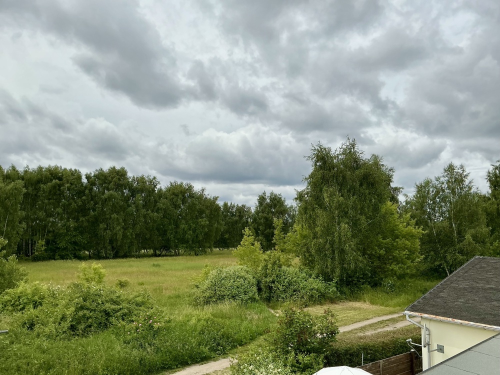 Aussicht vom OG